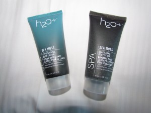 Spa goodies (body scrub and lotion)